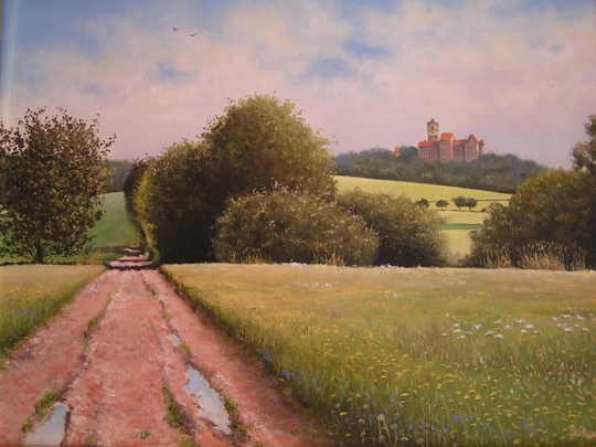 Bild von der Ronneburg